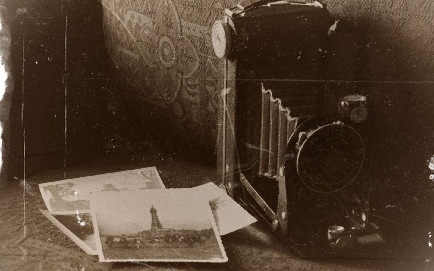 Photographer reviewing images on a camera display